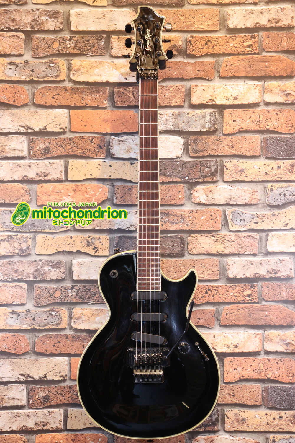 ルナシーのスギゾー・モデルです！