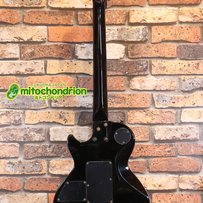 ルナシーのスギゾー・モデルです！