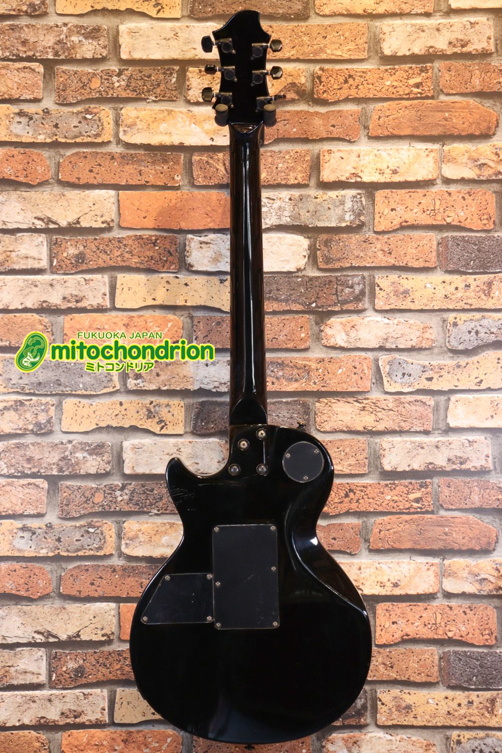 ルナシーのスギゾー・モデルです！