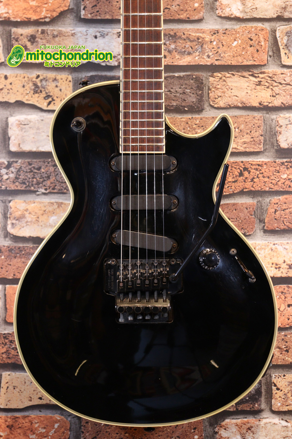 ルナシーのスギゾー・モデルです！