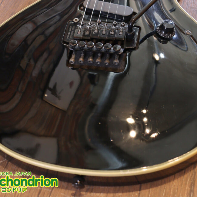 ルナシーのスギゾー・モデルです！