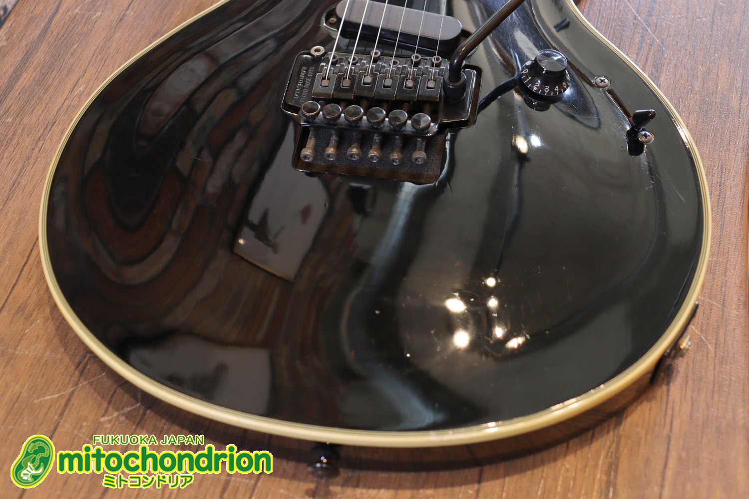 ルナシーのスギゾー・モデルです！