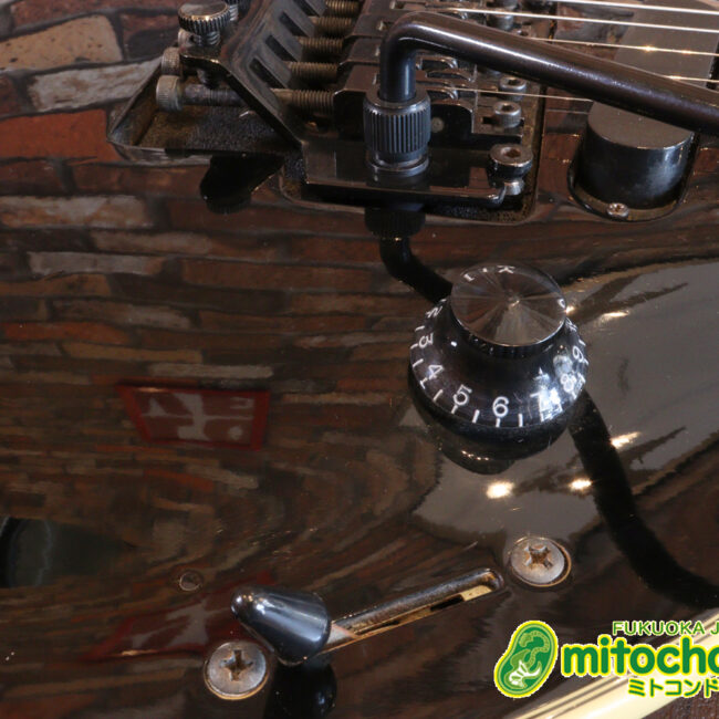 ルナシーのスギゾー・モデルです！