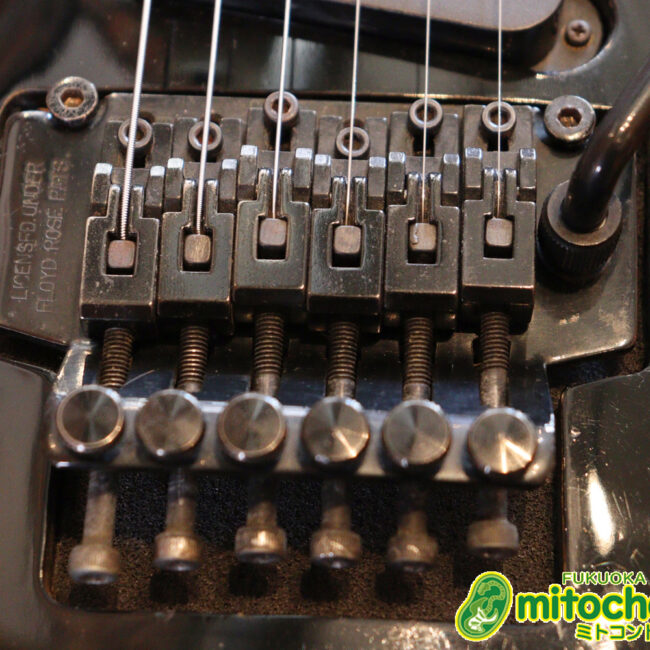 ルナシーのスギゾー・モデルです！