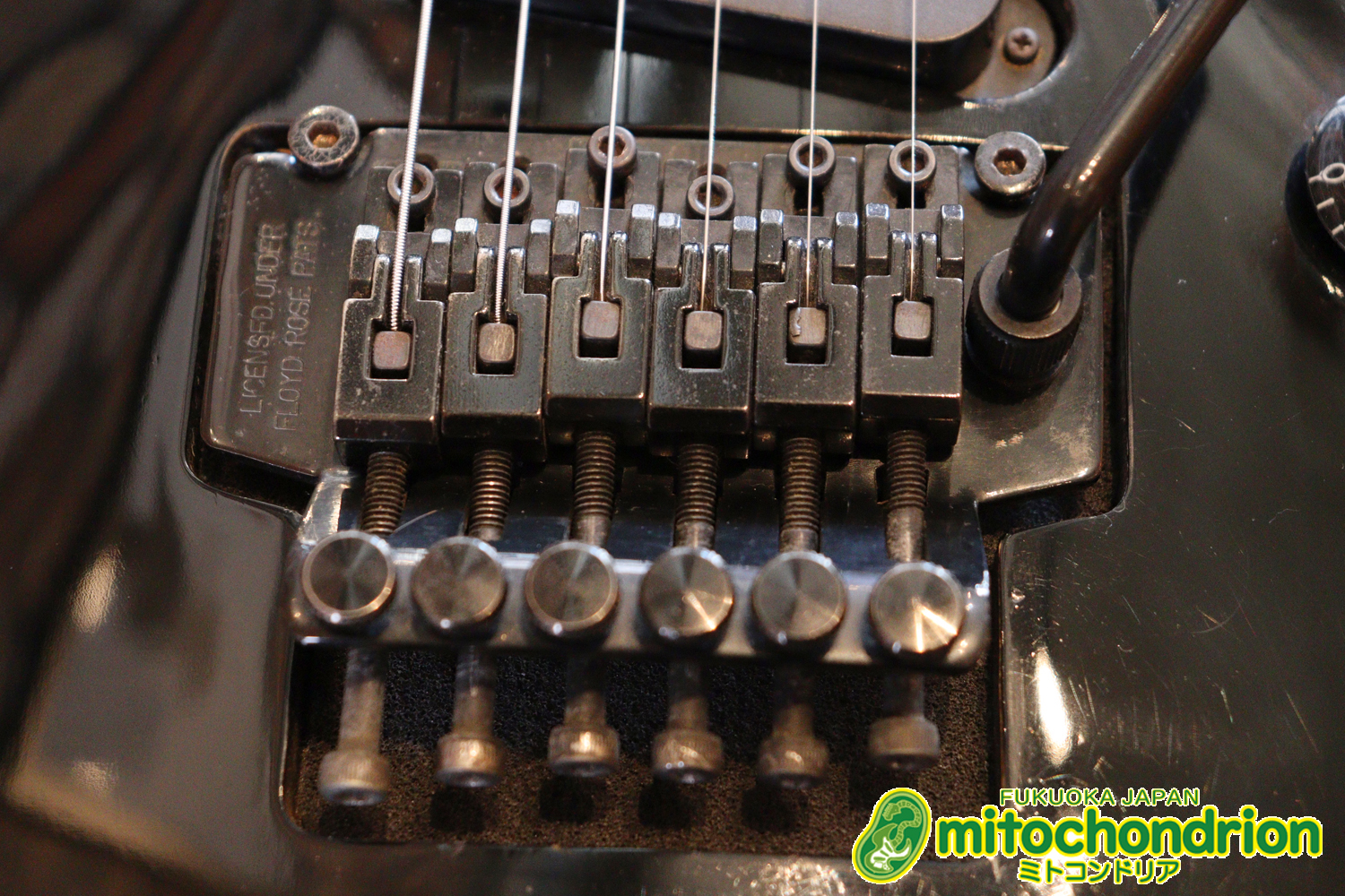 ルナシーのスギゾー・モデルです！