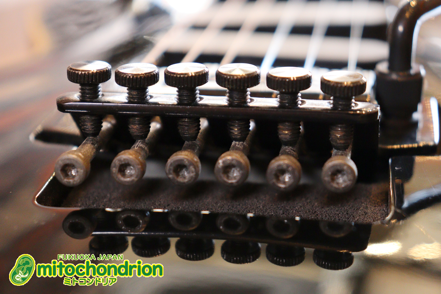 ルナシーのスギゾー・モデルです！