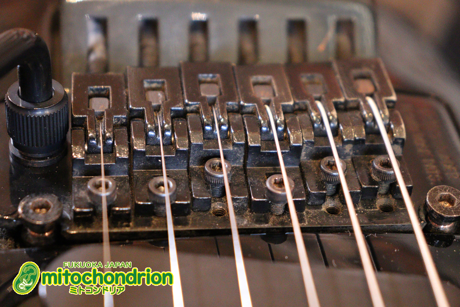 ルナシーのスギゾー・モデルです！