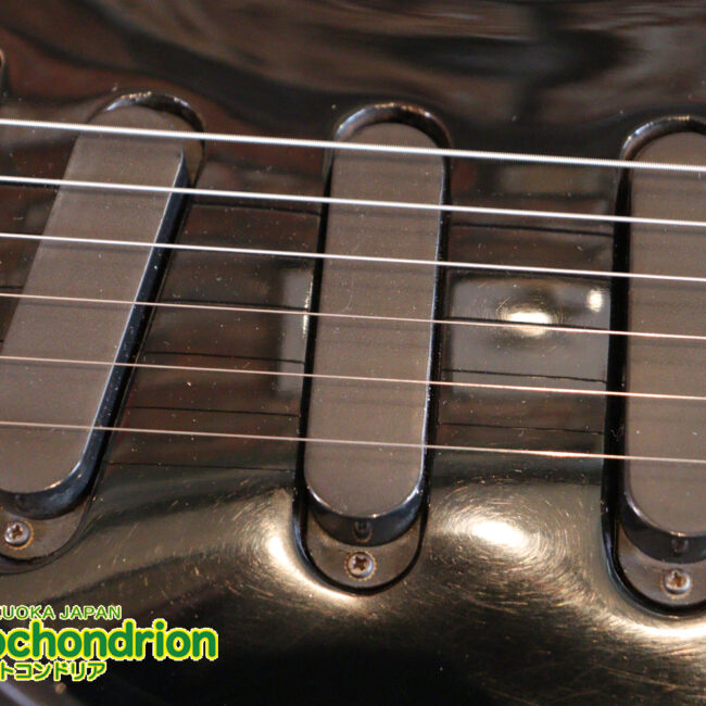 ルナシーのスギゾー・モデルです！