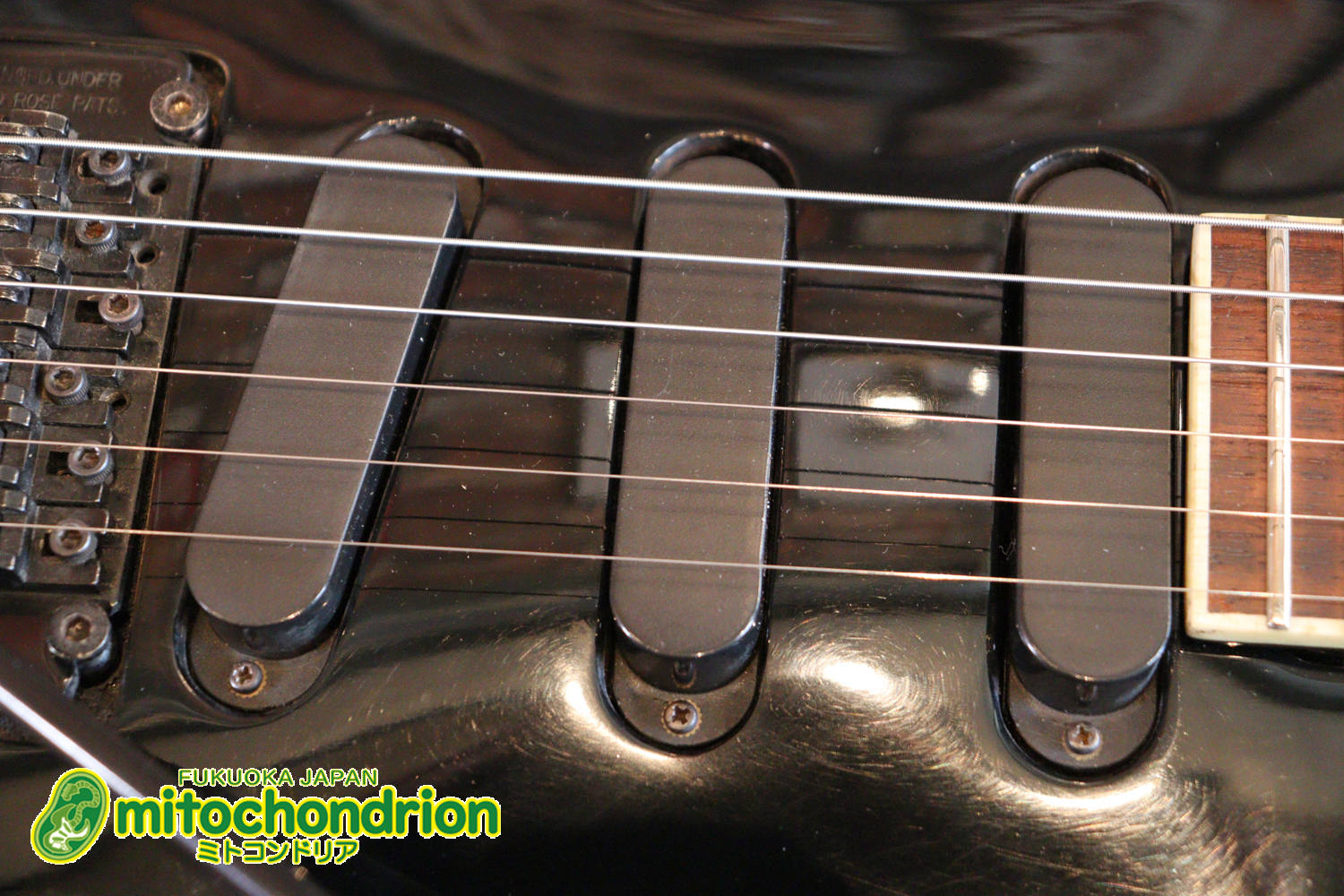 ルナシーのスギゾー・モデルです！