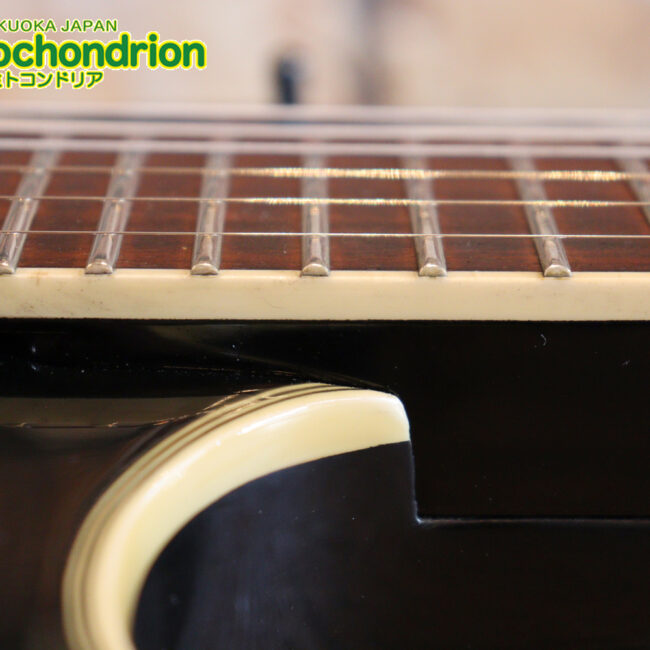 ルナシーのスギゾー・モデルです！