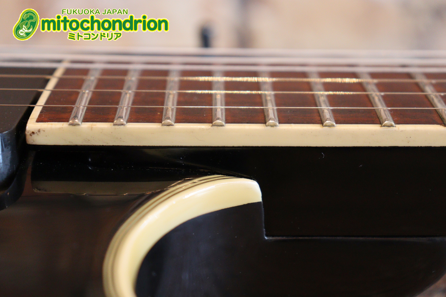 ルナシーのスギゾー・モデルです！