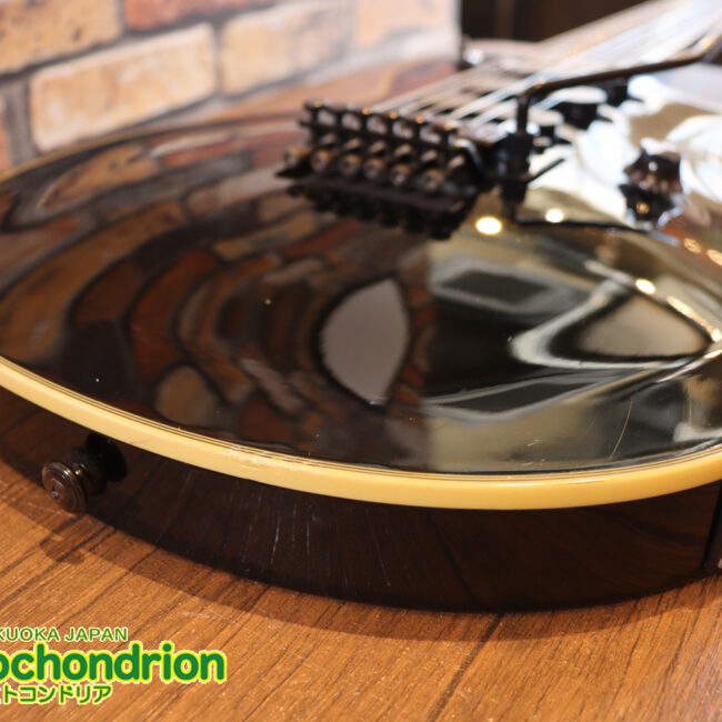 ルナシーのスギゾー・モデルです！