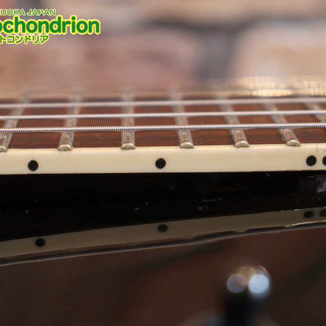 ルナシーのスギゾー・モデルです！