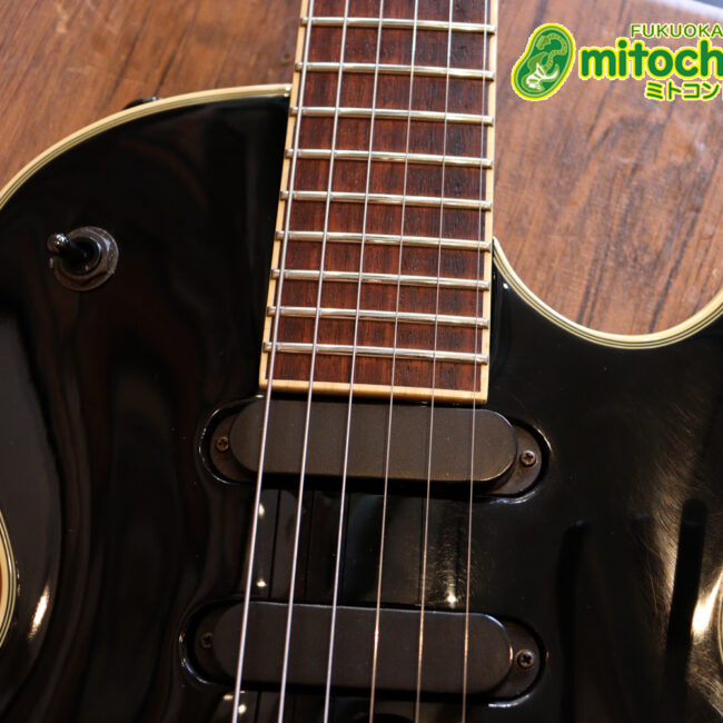 ルナシーのスギゾー・モデルです！