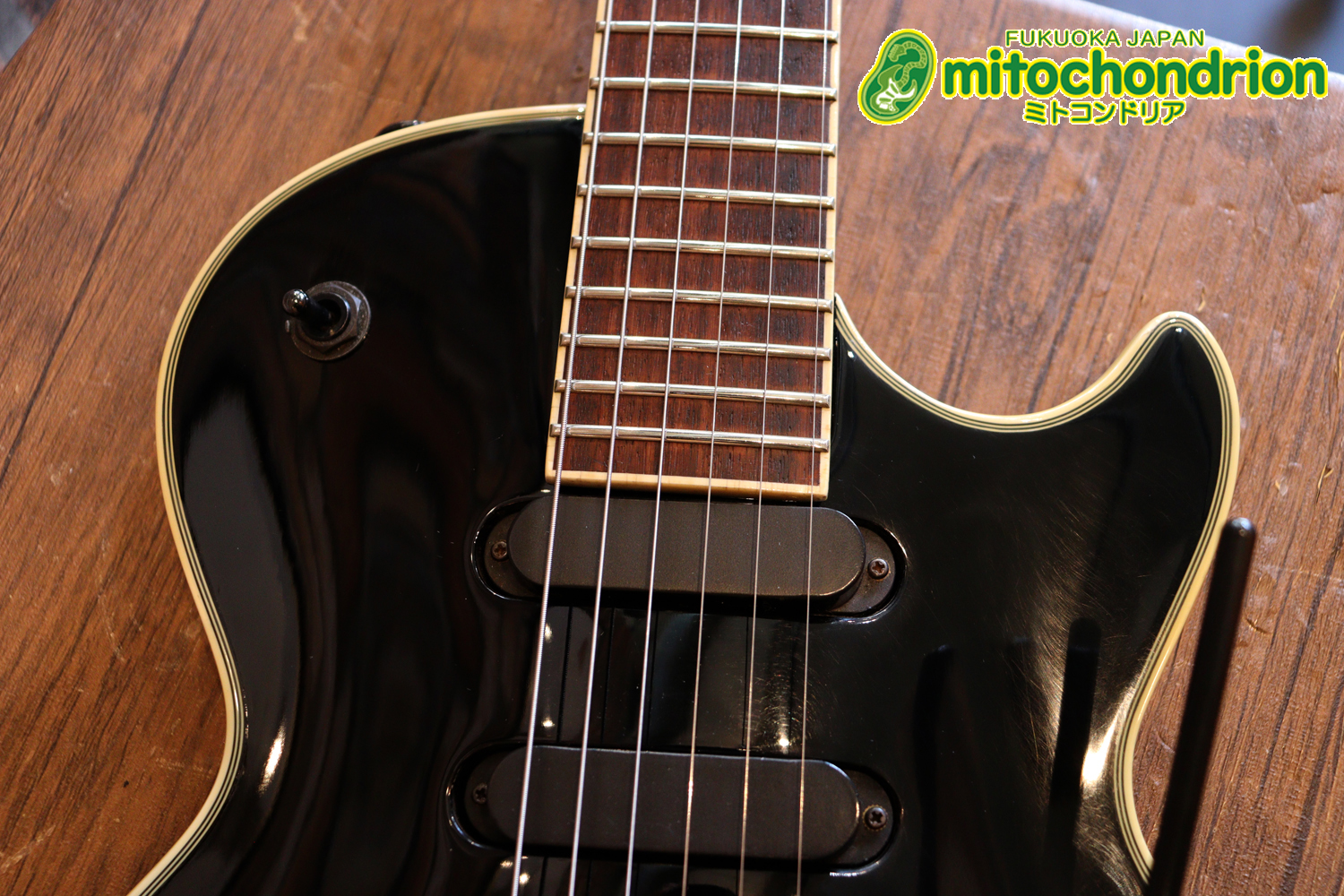 ルナシーのスギゾー・モデルです！