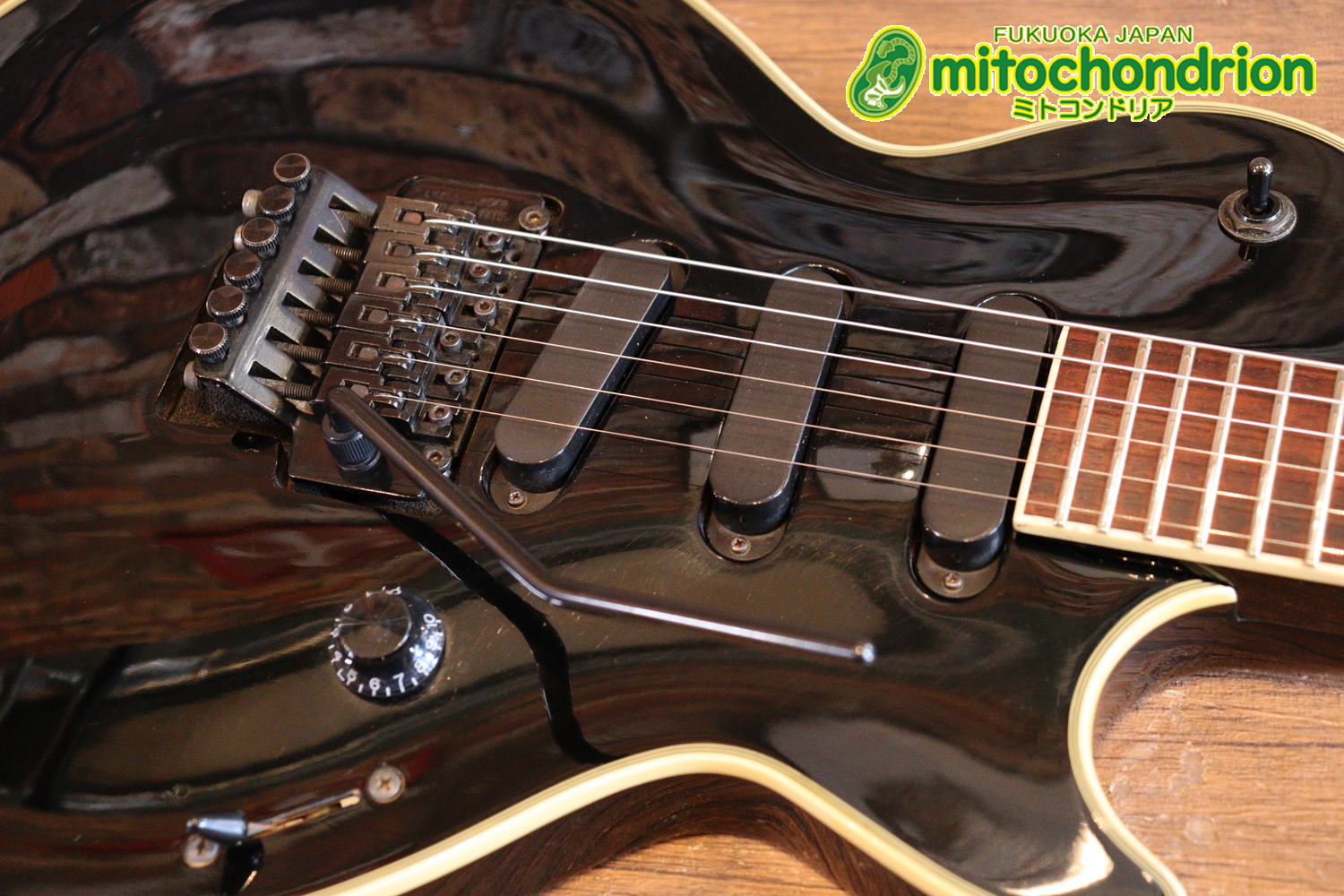 ルナシーのスギゾー・モデルです！