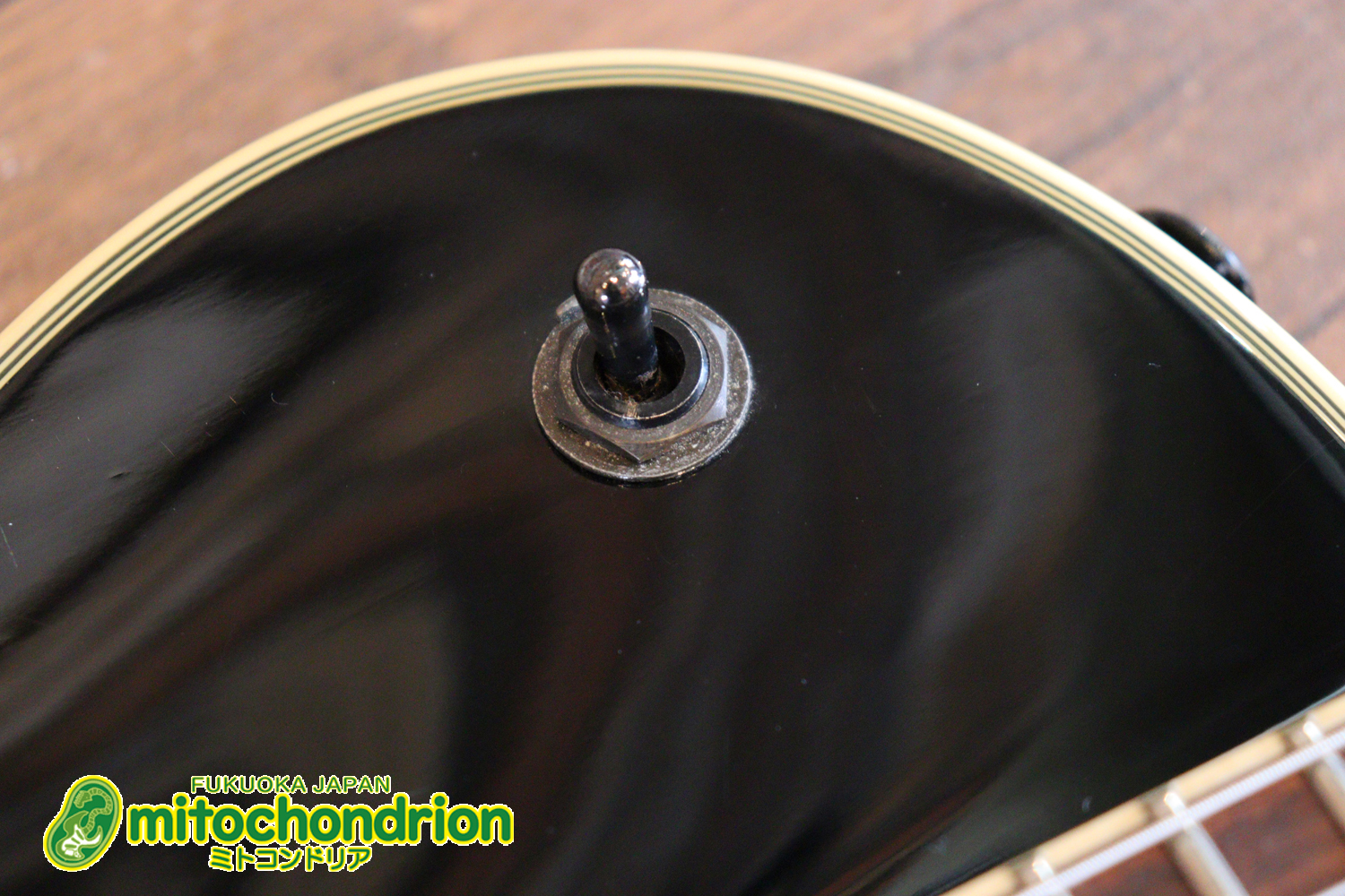 ルナシーのスギゾー・モデルです！