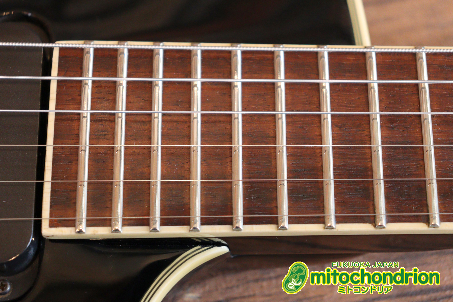 ルナシーのスギゾー・モデルです！