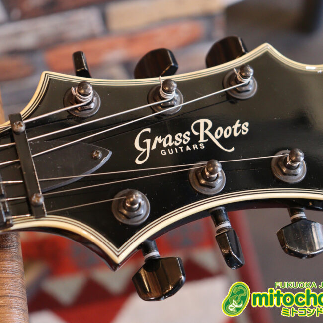 ルナシーのスギゾー・モデルです！