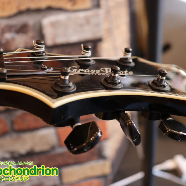 ルナシーのスギゾー・モデルです！