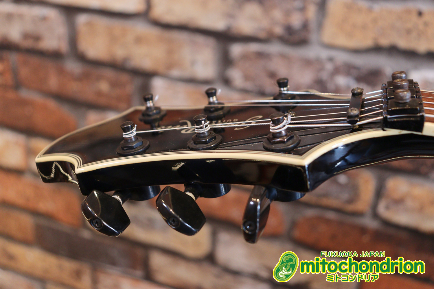 ルナシーのスギゾー・モデルです！