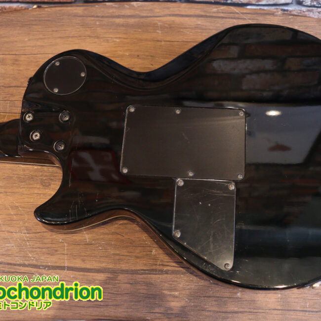 ルナシーのスギゾー・モデルです！