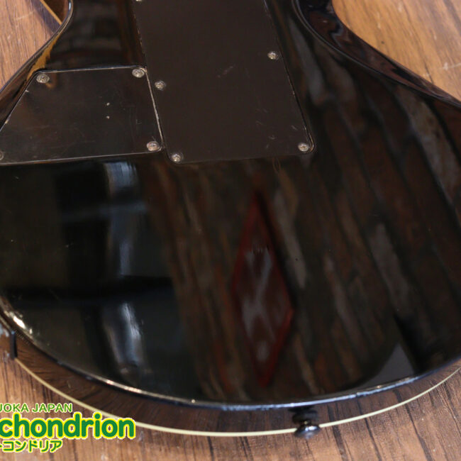 ルナシーのスギゾー・モデルです！