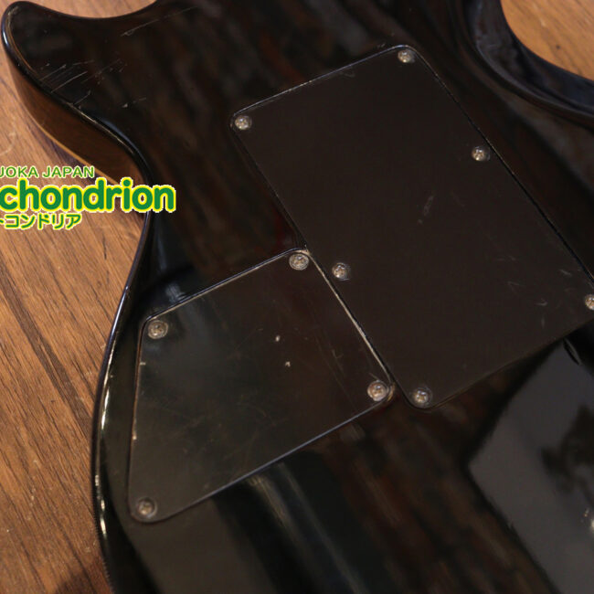 ルナシーのスギゾー・モデルです！