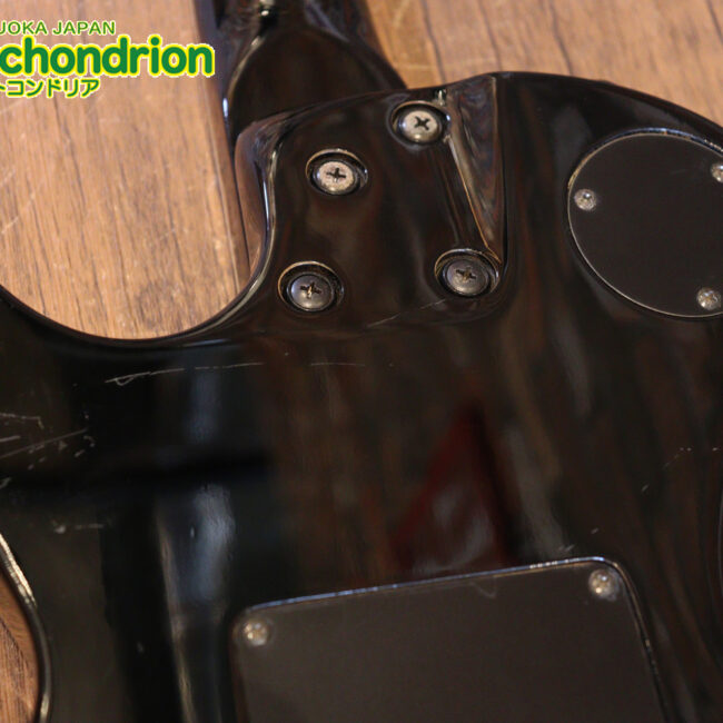 ルナシーのスギゾー・モデルです！