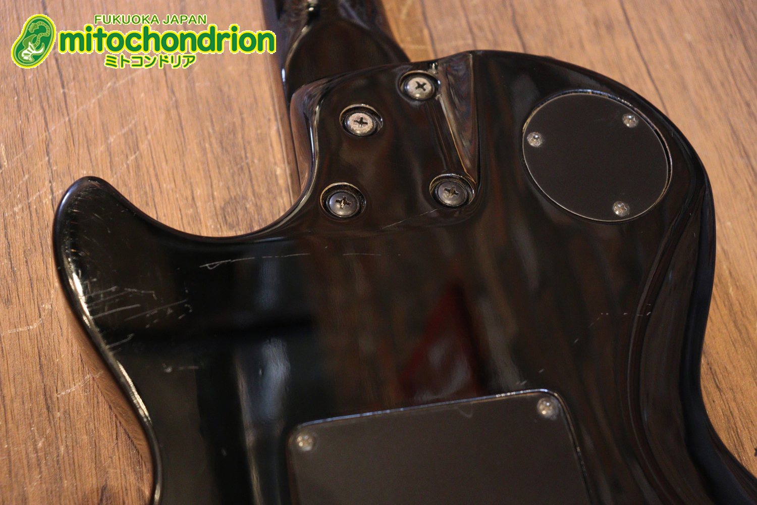 ルナシーのスギゾー・モデルです！