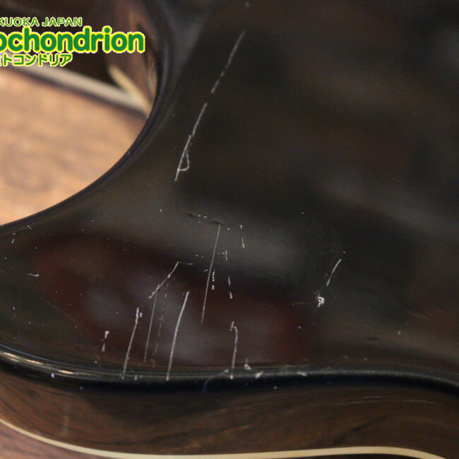 ルナシーのスギゾー・モデルです！