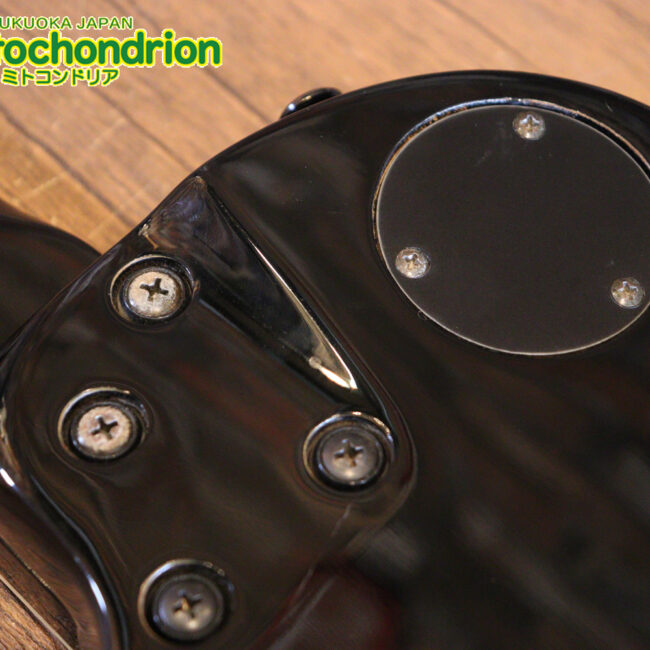 ルナシーのスギゾー・モデルです！