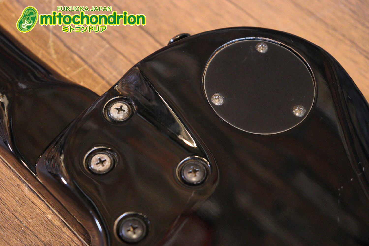 ルナシーのスギゾー・モデルです！