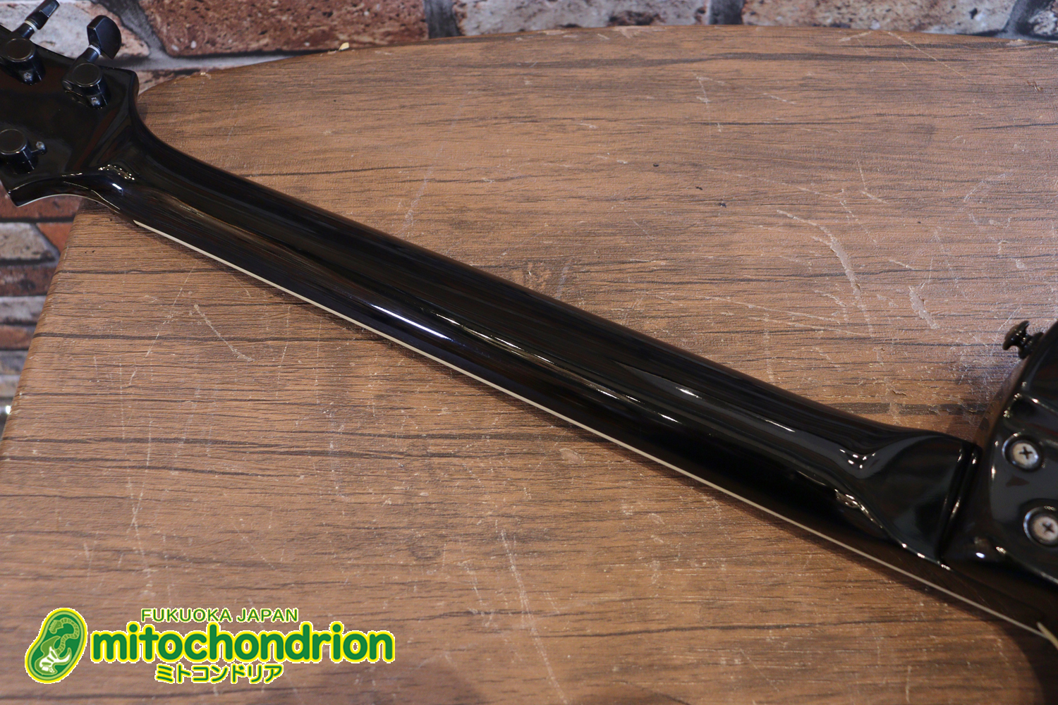 ルナシーのスギゾー・モデルです！