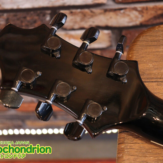 ルナシーのスギゾー・モデルです！