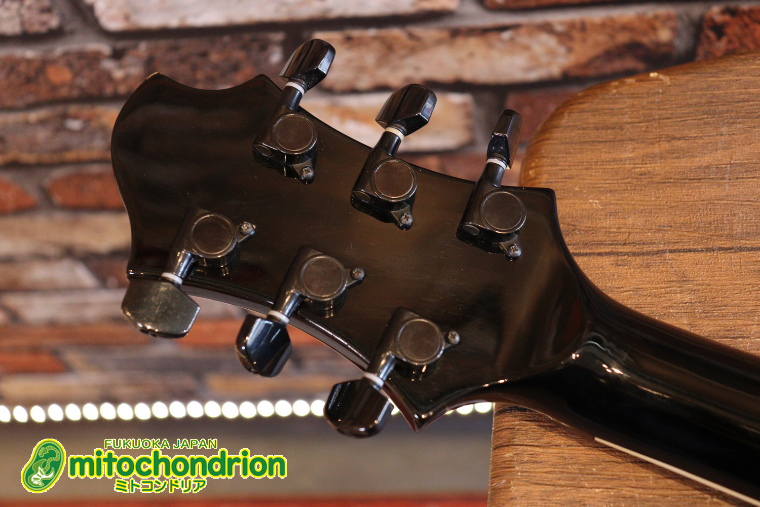 ルナシーのスギゾー・モデルです！