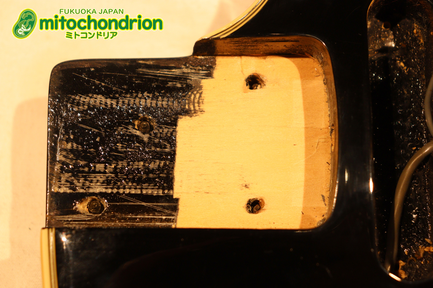 ルナシーのスギゾー・モデルです！