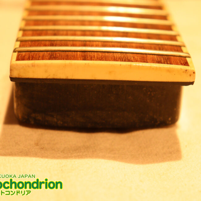 ルナシーのスギゾー・モデルです！