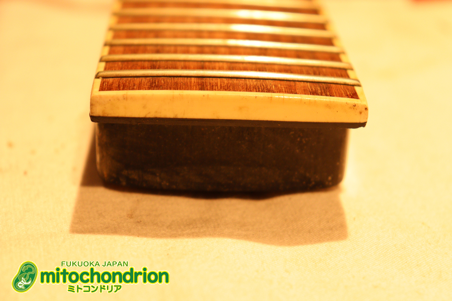 ルナシーのスギゾー・モデルです！