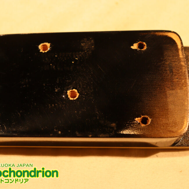 ルナシーのスギゾー・モデルです！