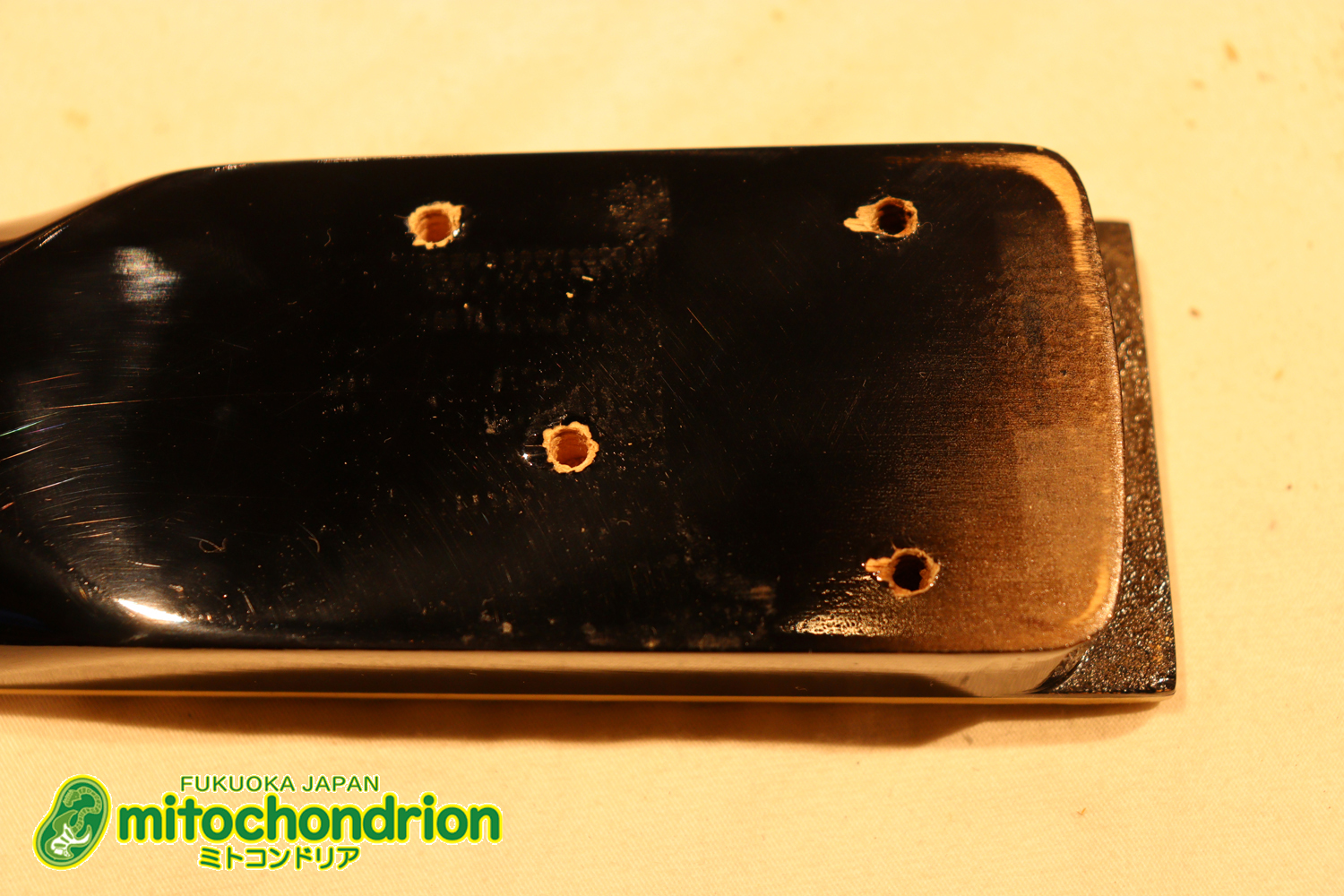 ルナシーのスギゾー・モデルです！