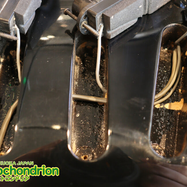 ルナシーのスギゾー・モデルです！