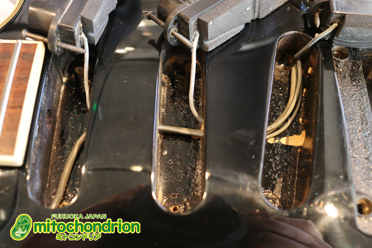 ルナシーのスギゾー・モデルです！