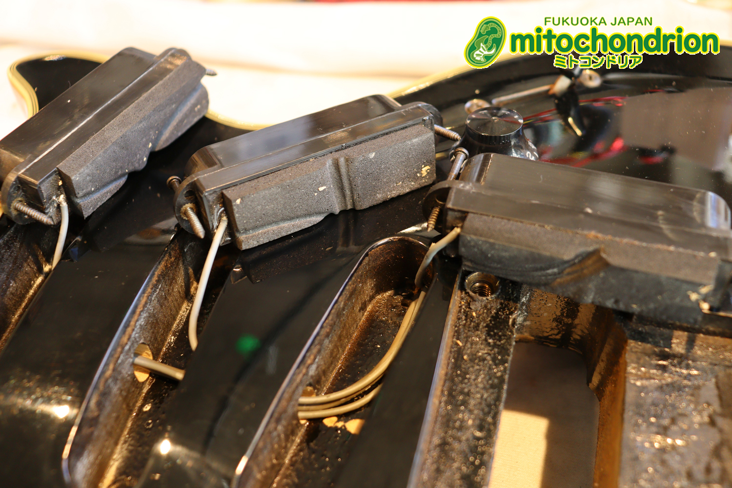 ルナシーのスギゾー・モデルです！