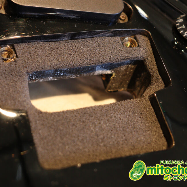 ルナシーのスギゾー・モデルです！