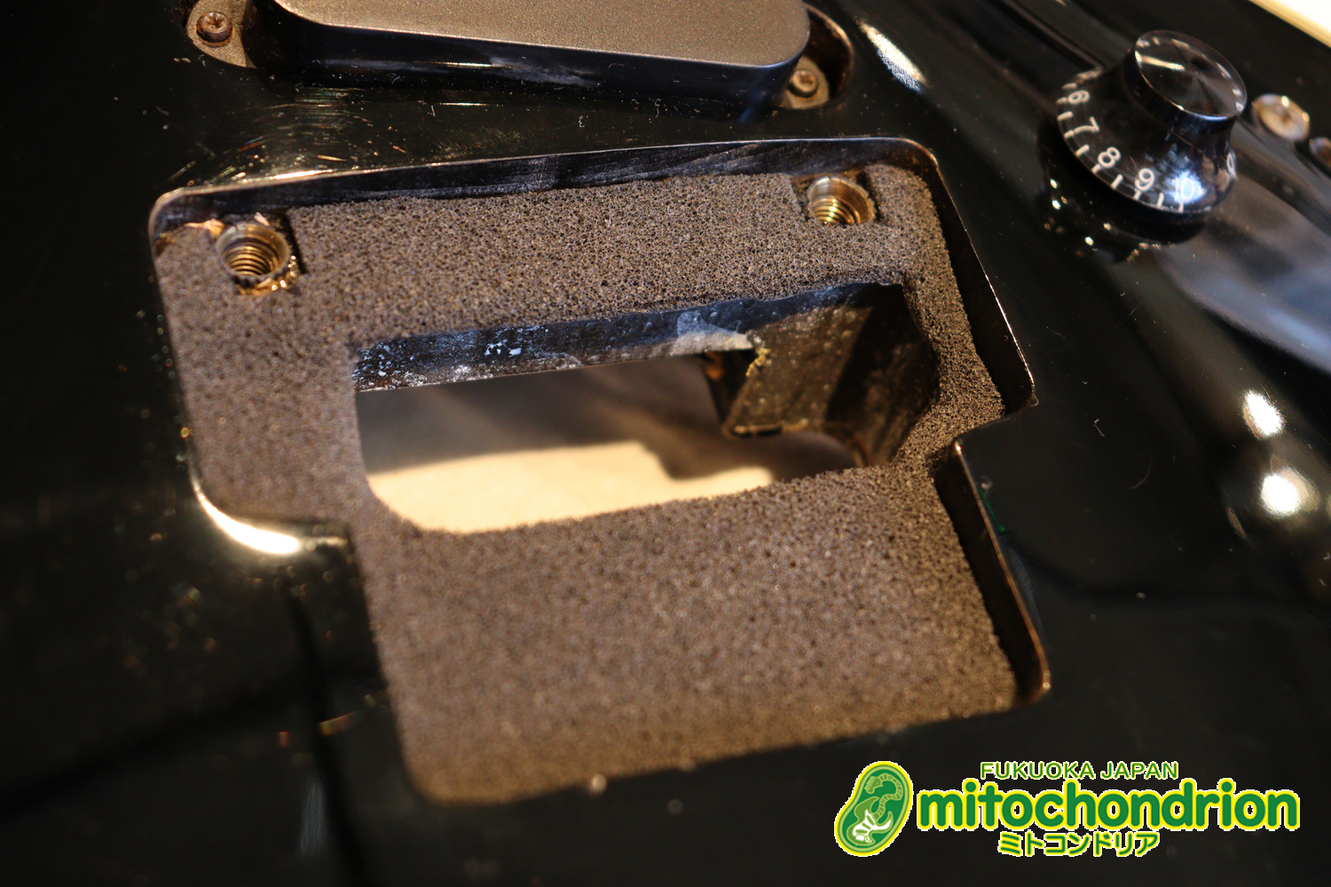 ルナシーのスギゾー・モデルです！