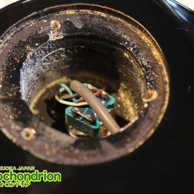 ルナシーのスギゾー・モデルです！