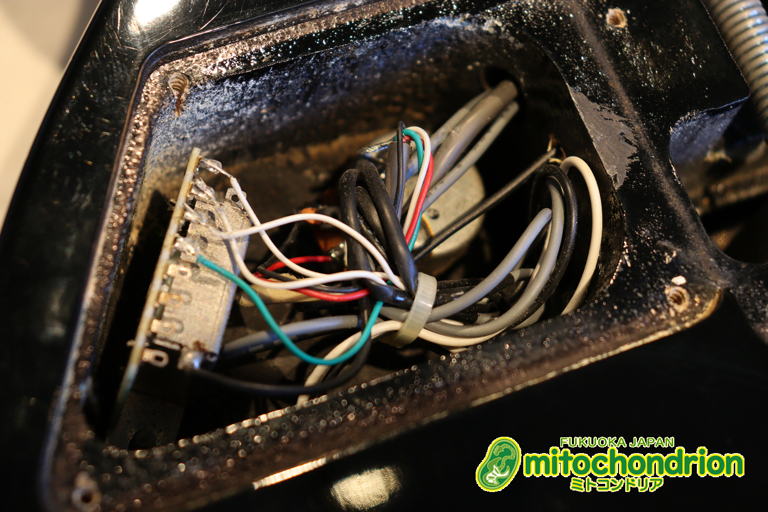 ルナシーのスギゾー・モデルです！