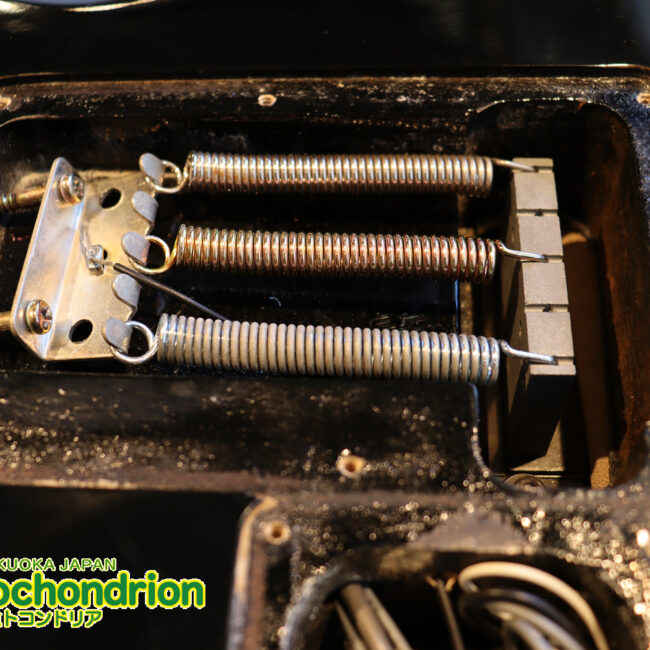 ルナシーのスギゾー・モデルです！