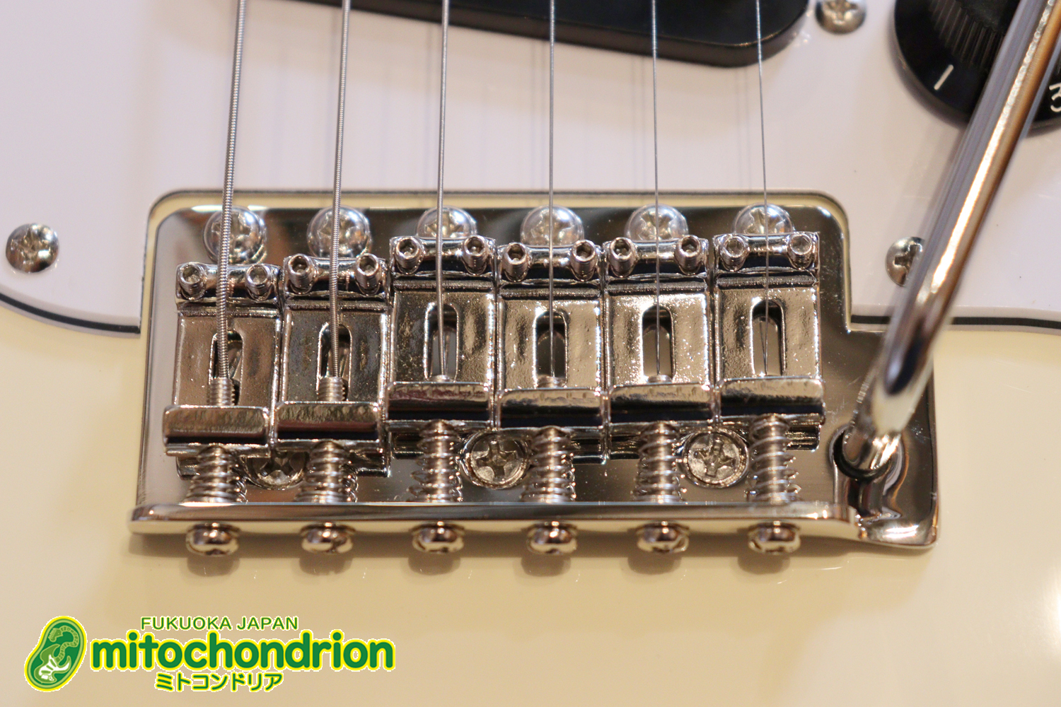 ローズ指板のスキャロップ仕様！ブラックパーツにモディファイ済です。２